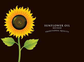 Banner for refined sunflower oil with a blossom sunflower and green leaves on the black background. Advertising poster, vector illustration