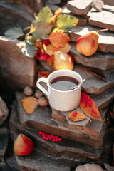 Picnic in nature. Rest in the forest. Still life on stones in the forest. Apples. Pears. Kettle. The fire. Primus. Cup of tea. Antique dishes. Hike.
