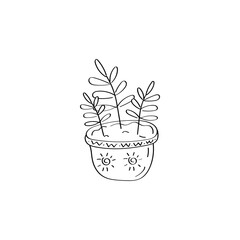 House plant. Flowers in pot. Ficus icon. Hand drawn vector doodle illustration