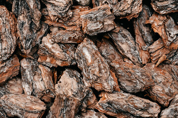 Embossed texture of the bark of oak. Panoramic photo of the oak texture.