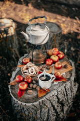 Picnic in nature. Rest in the forest. Still life on an old wooden plank in the forest. Apples. Kettle. The fire. Primus. Cup of tea. Antique dishes. Hike.