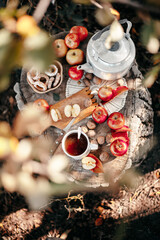 Picnic in nature. Rest in the forest. Still life on an old wooden plank in the forest. Apples. Kettle. The fire. Primus. Cup of tea. Antique dishes. Hike.