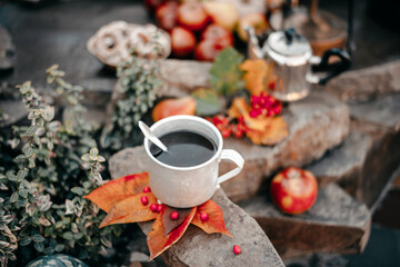 Picnic in nature. Rest in the forest. Still life on stones in the forest. Apples. Pears. Kettle. The fire. Primus. Cup of tea. Antique dishes. Hike.