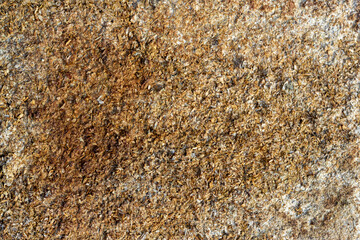 rotten decayed weathered chip board 