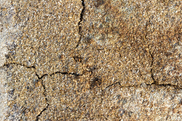 decayed cracked chip board that has been exposed to the weather