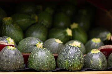 Courgettes rondes en rang d'oignons 