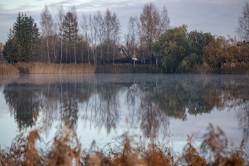 Picture of a slightly misty lake and autumn trees almost without leaves in morning  November  Latvia