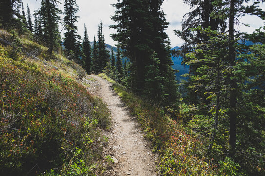 View of the Pacific Crest Trail (PCT) along remote alpine meadow, autumn