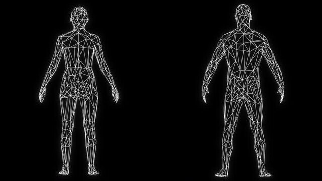 3d low poly rotating female and male figure formed by white lines