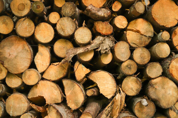 stack of firewood