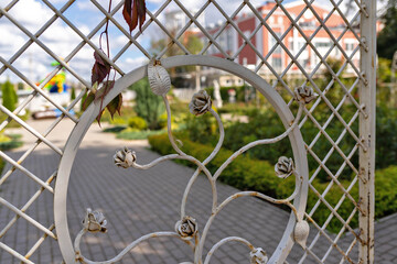 Tver, Tver region. Bright summer day in the city garden. Roses