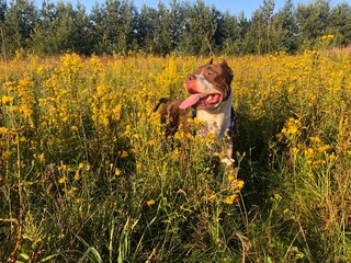 person in the field