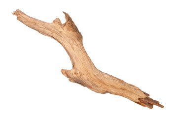 Close Up Of Dry Branch Isolated Over