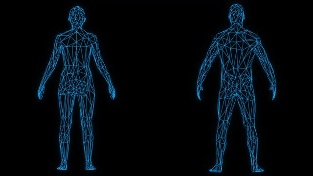 3d low poly rotating female and male figure formed by blue lines

