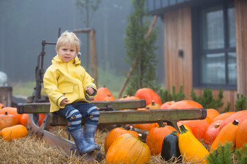 Cute blond toddler child, boy, playing in the rain with umbrella on a foggy autumn day