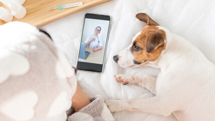 A woman communicates remotely with a doctor on her mobile while lying in bed. A loyal dog lies next...