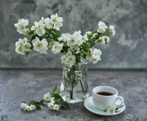 Obraz na płótnie Canvas Jasmine flowers in a glasse vase. Stillife with jasmine and cup of coffee.
