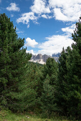 Landscape panorama of Seiser Alm in South Tyrol, Italy