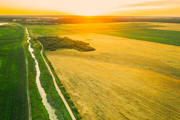 Obraz premium Aerial View Of Countryside Road Through Summer Rural Field. Road Between Corn Maize Plantation And Wheat. Landscape During Sunset