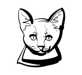 The logo sign. The Mouser cat. Vector on an isolated background.