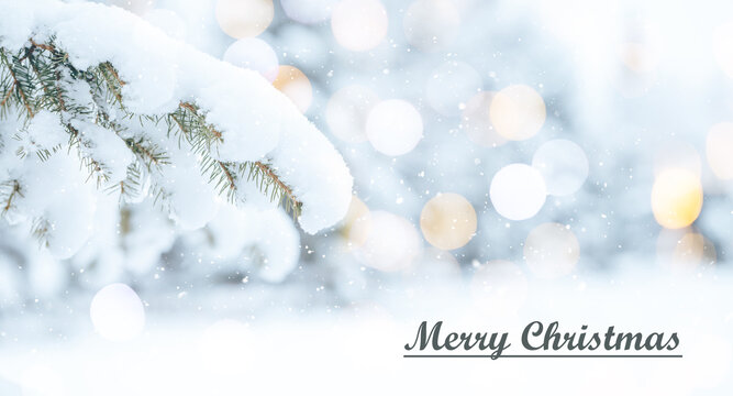 White snow lies on the branches of a Christmas tree. Photo for greeting cards with the inscription merry christmas. Christmas mood. Long banner.
