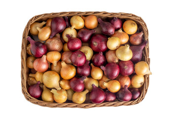 Multicolored yellow and red onions in a wicker basket on a white background, isolate, vegetable