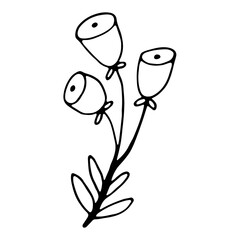 Floral hand drawn doodle icon for social media story