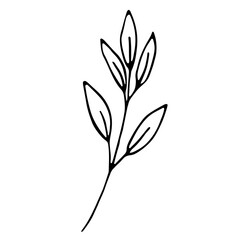 Floral hand drawn doodle icon for social media story. Ink drawn branch