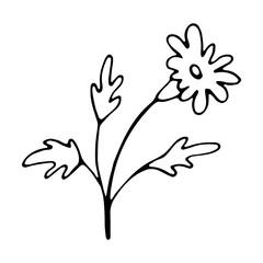 Floral hand drawn doodle icon for social media story