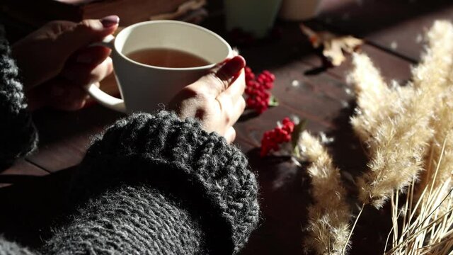 Woman hands holding hot tea in white cup steaming on wooden table sunny day. Focus on hand. Dandelion seeds flying. Autumn leaves, red berries, fall flurry herbs background. Morning concept.