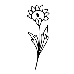 Floral hand drawn doodle icon for social media story