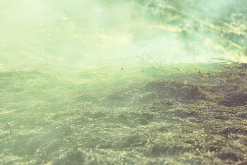 fire in the field / fire in the dry grass, burning straw, element, nature landscape, wind