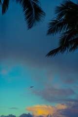 Fototapeta na wymiar An Airplane Flies in the Distance at Sunset With Tropical Palm Trees in the Foreground