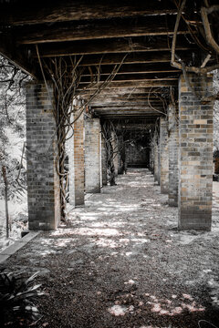 Bricks and woodwork - exploring the nooks and crannies in the gardens