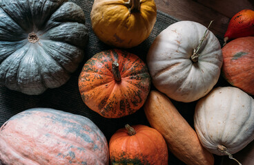 Orange, green and white pumpkins on a dark floor