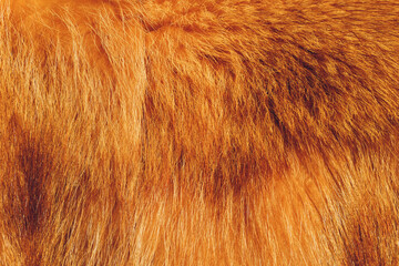 Textures red fox fur. Red fox shaggy fur texture cloth abstract, furry rusty texture plain surface,...