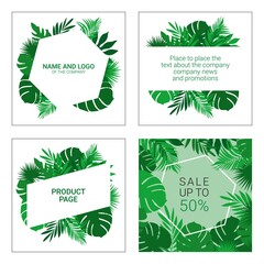 Advertising banners for social networks and websites, background for promoting cosmetic products, placing photos and text, beautiful tropical leaves in vector