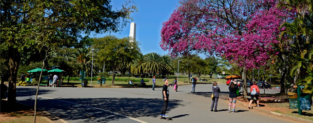 Pessoas no Parque do Ibirapuera. Sao Paulo. Brasil