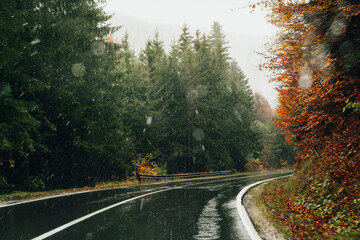 Raining and snowing on wet road in autumn in the forest