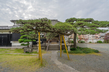 妙昌寺