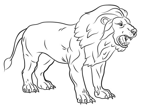 Animals. Black and white image of a large lion, coloring book for children.