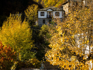 autumn in the village of Kosovo Bulgaria_3