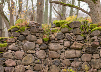 old stones overgrown with moss and lichens, stone wall from old castle ruins, autumn in the park