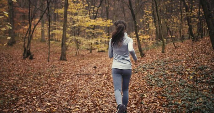 medium following 4k shot of young sporty female running in beautiful autumn forest. Exercising outdoors in cold weather