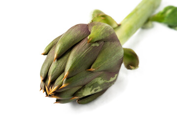 Carciofo spinoso biologico sardo isolato su fondo bianco 