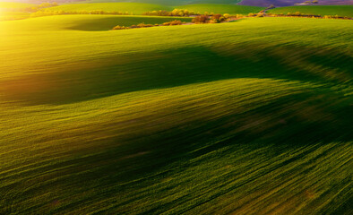 Aerial photography of green wavy field with shadows from sunlight in the evening.