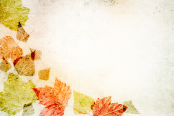 Naklejka na ściany i meble Vintage border autumn leaves blank concept paper background