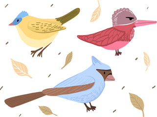 set of cartoon birds isolated from each other, vector illustration