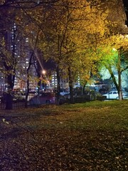Obraz premium autumn in the park