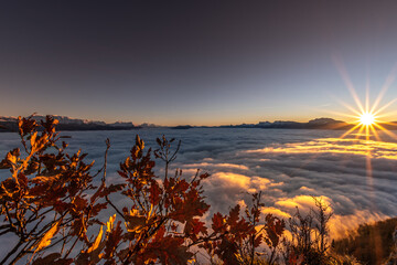 Mer de nuage au dessus de Grenoble - Isère - Automne
